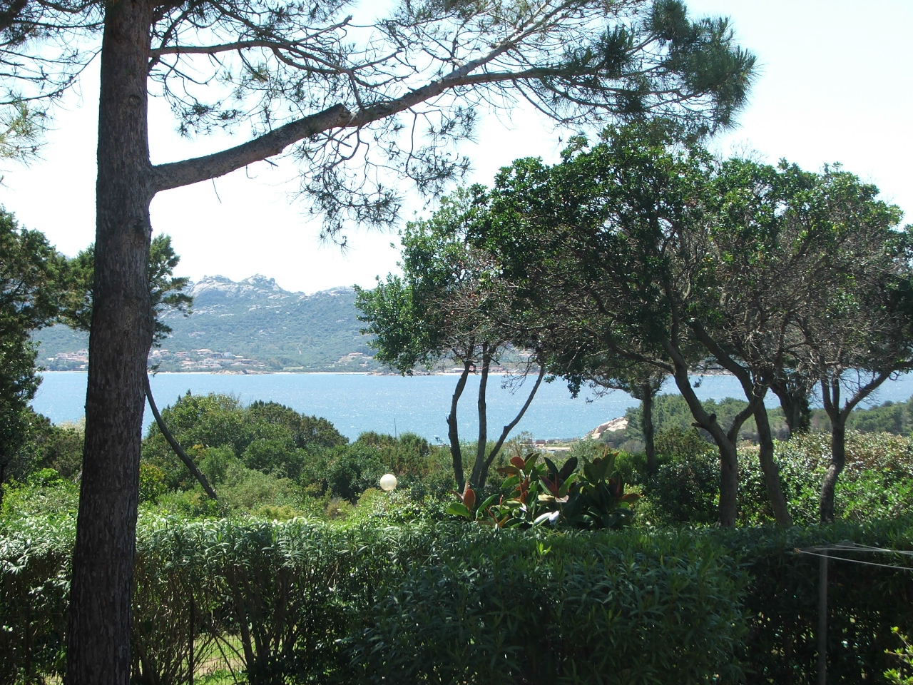Agenzia Immobiliare vendite e affitti case appartamenti ville casali stazzi Costa Smeralda, Arzachena, Palau, Cannigione, la Conia, Baja Sardinia, Porto Cervo, Porto Sole, Abbiadori, Costa Smeralda e Porto Rotondo.